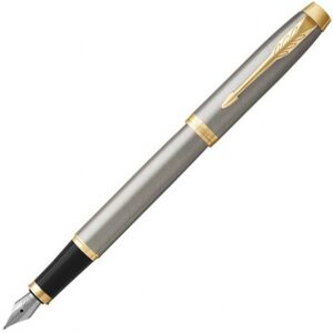 Fountain pen "IM Core" Brushed Metal GT F